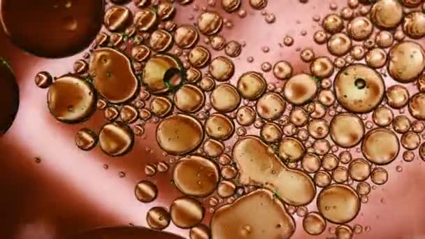 Abstract Colorful Food Oil Circle Drops Water Dreamy Air Bubbles — Video Stock