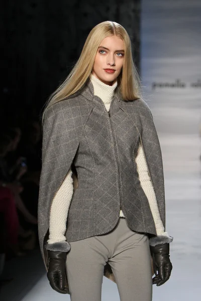 NOVA IORQUE - FEVEREIRO 14: Modelo caminha pista na Pamella Roland Outono Inverno 2012 apresentação coleção no Lincoln centro durante New York Fashion Week em 14 de fevereiro de 2012 em Nova York — Fotografia de Stock