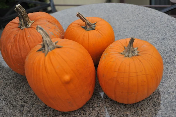 Abóboras sortidas em preparação para Halloween — Fotografia de Stock