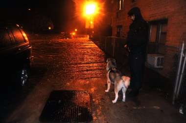 bilinmeyen bir adam ile sular altında street, izlerken köpek neden kasırga kumlu