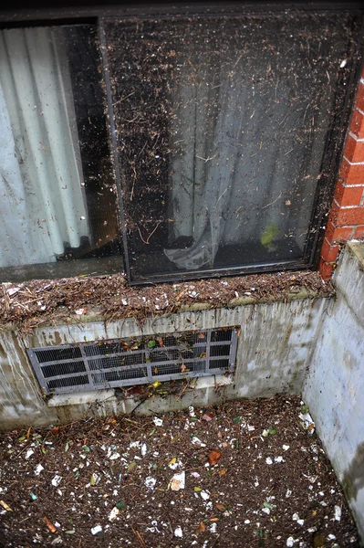 Puin nesten de grond in de buurt van de sheapsheadbay als gevolg van overstromingen van orkaan zandstrand — Stockfoto