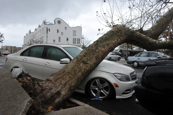 Strom se cítil na zem v sheapsheadbay sousedství kvůli zaplavení od hurricane písečná — Stock fotografie