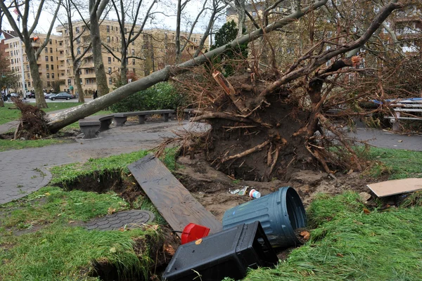 Strom se cítil na zem v sheapsheadbay sousedství kvůli zaplavení od hurricane písečná — Stock fotografie