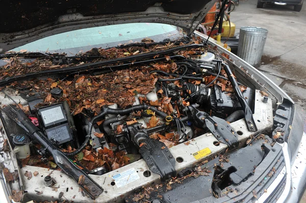 Basuras de escombros dentro de los coches en el barrio de Sheapsheadbay debido a las inundaciones del huracán Sandy — Foto de Stock