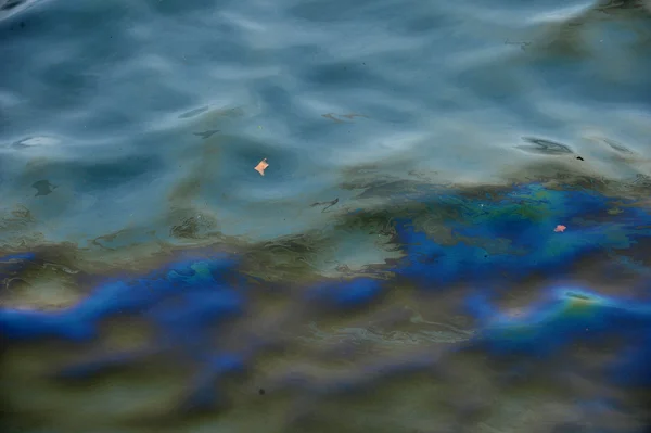 BROOKLYN, NY - 01 DE NOVIEMBRE: Grave contaminación con el aceite del barco en el agua del canal de Sheapsheadbay debido al impacto del huracán Sandy en Brooklyn, Nueva York, EE.UU., el jueves 01 de noviembre de 2012 . —  Fotos de Stock