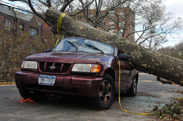 Hurricane Sandy a Brooklyn, New York, Stati Uniti . — Foto Stock