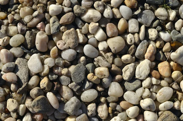 Naturally polished light rock pebbles background — Stock Photo, Image