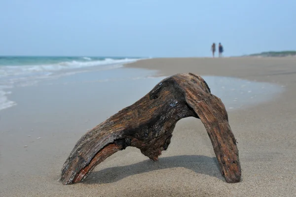 Pedaço de madeira à deriva na areia e oceano azul com casal no horizonte — Fotografia de Stock