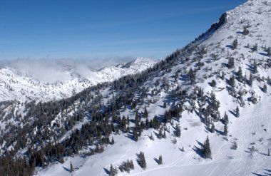 dağlara manzarası snowbird Kayak Merkezi Utah, ABD den