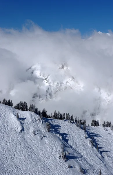 Dağlara manzarası snowbird Kayak Merkezi Utah, ABD den — Stok fotoğraf