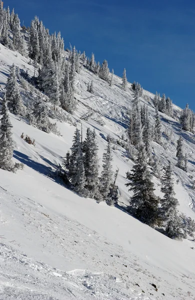 壮观的景色到山脉从雪鸟在美国犹他州的滑雪胜地 — 图库照片