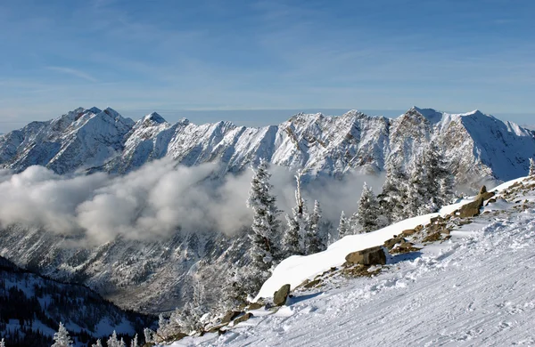 Спектакльный вид на горы с горнолыжного курорта Snowbird в Юте, США — стоковое фото