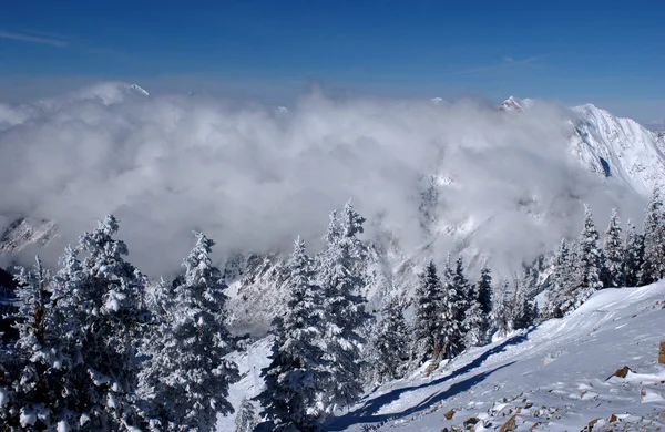 Espectacular vista a las montañas desde la estación de esquí Snowbird en Utah, EE.UU. — Foto de Stock