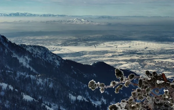 På toppen av världen - snö och himmel. Snowbasin berg, utah — Stockfoto