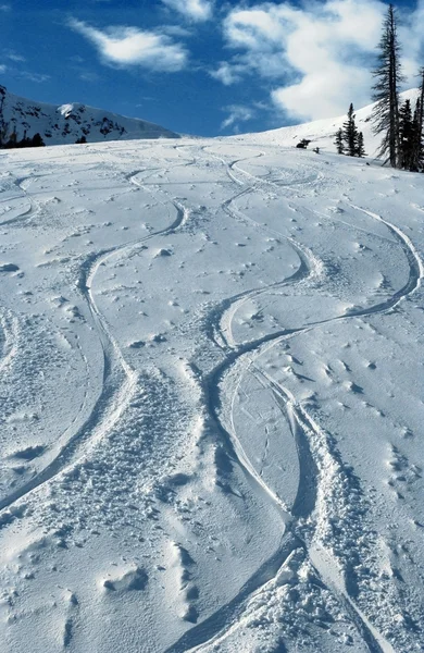 Eerst tucks in snowbasin skiresort, utah — Stockfoto