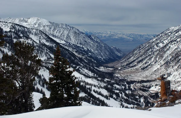 Vue spectaculaire sur les montagnes depuis le sommet de la station de ski Alta dans l'Utah — Photo