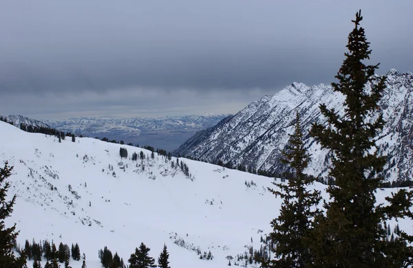 Spectaculaire uitzicht op de bergen vanaf Top van alta skiresort in utah — Stockfoto