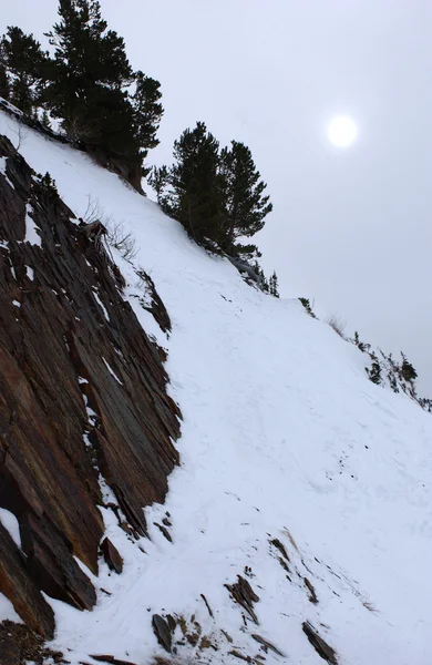 Spektakulär utsikt till bergen från toppen av alta ski resort i utah — Stockfoto