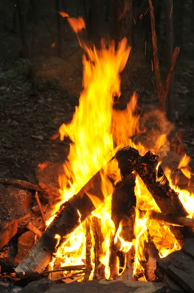 Feu de camp brûlant dans la nuit — Photo