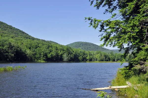 Naturliga reflektioner på colgate sjö i catskill mountains, ny — Stockfoto