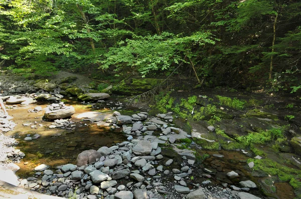 Cachoeiras em Kaaterskill Creek nas Catskills Mountains - Nova York — Fotografia de Stock