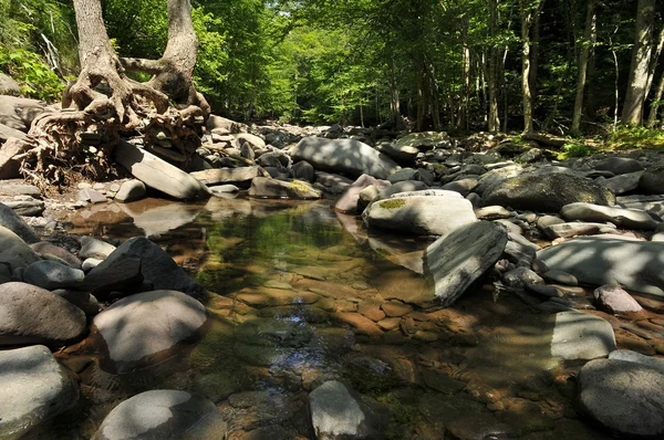 Cataratas en Kaaterskill Creek en las montañas Catskills - Nueva York —  Fotos de Stock