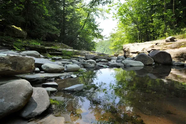 Wodospady na potoku kaaterskill w górach Catskill - Nowy Jork — Zdjęcie stockowe