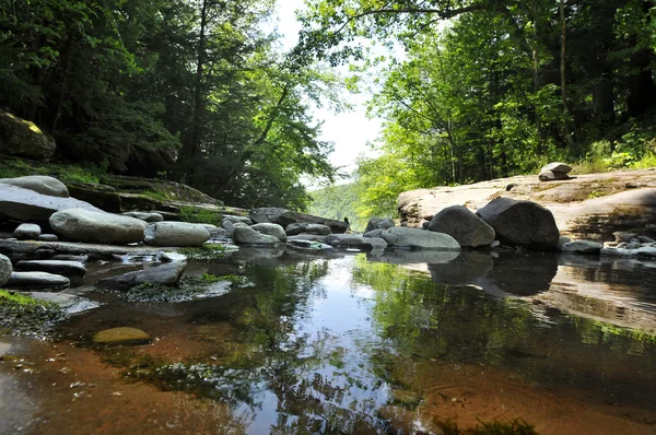 关于在基尔山-纽约 kaaterskill 溪瀑布 — 图库照片