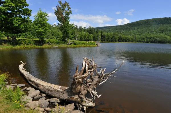 Přirozené odlesky na colgate jezero upstate ny — Stock fotografie