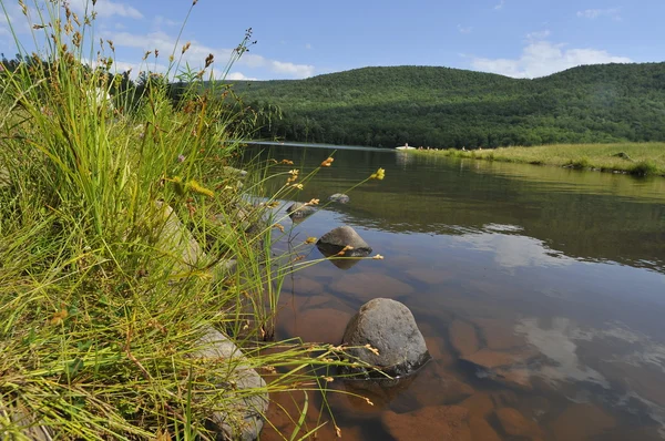 Reflexões naturais no lago Colgate norte do estado de Nova Iorque — Fotografia de Stock