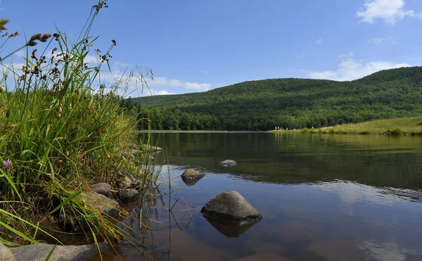 Přirozené odlesky na colgate jezero upstate ny — Stock fotografie