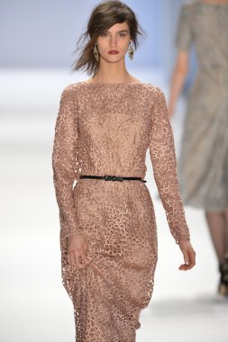 New york, ny-Şubat 07: manken tadashi shoji collection sonbahar kış 2013 mercedes-benz moda haftası üzerinde 07 Şubat 2013 yılında nyc için pist yürür.