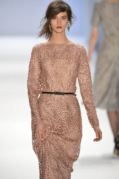 New york, ny-Şubat 07: manken tadashi shoji collection sonbahar kış 2013 mercedes-benz moda haftası üzerinde 07 Şubat 2013 yılında nyc için pist yürür.