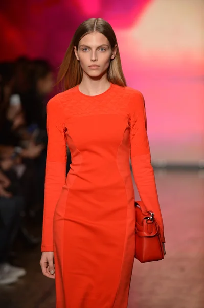 NEW YORK, NY - FEBRUARY 10: A model walks the runway at the DKNY Fall Winter 2013 fashion show during Mercedes-Benz Fashion Week on February 10, 2013, NYC. — Stock Photo, Image