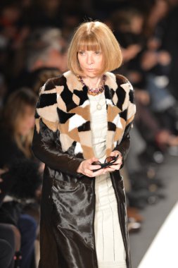 New york, ny - 11 Şubat: Amerikan vogue anna wintour, caroline herrera sonbahar kış 2013 moda genel yayın yönetmeni nyc 11 Şubat'ta, 2013 mercedes-benz moda haftası sırasında göstermek.