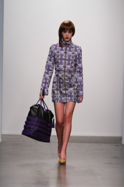 New york - 13 Şubat: model tess için pist yürür 13 Şubat 2013 tarihinde nolcha moda haftasında johnson koleksiyonu new york City-pier 59 Studios