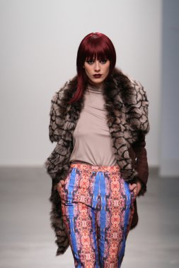 New york - 13 Şubat: model tess için pist yürür 13 Şubat 2013 tarihinde nolcha moda haftasında johnson koleksiyonu new york City-pier 59 Studios