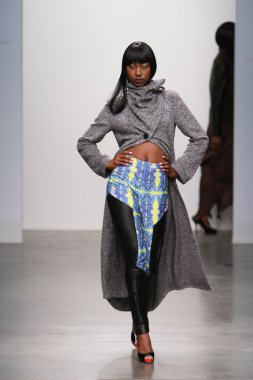 New york - 13 Şubat: model tess için pist yürür 13 Şubat 2013 tarihinde nolcha moda haftasında johnson koleksiyonu new york City-pier 59 Studios