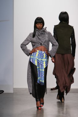 New york - 13 Şubat: model tess için pist yürür 13 Şubat 2013 tarihinde nolcha moda haftasında johnson koleksiyonu new york City-pier 59 Studios