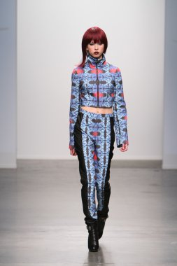 New york - 13 Şubat: model tess için pist yürür 13 Şubat 2013 tarihinde nolcha moda haftasında johnson koleksiyonu new york City-pier 59 Studios