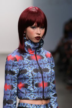 New york - 13 Şubat: model tess için pist yürür 13 Şubat 2013 tarihinde nolcha moda haftasında johnson koleksiyonu new york City-pier 59 Studios