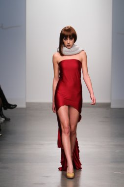 New york - 13 Şubat: model tess için pist yürür 13 Şubat 2013 tarihinde nolcha moda haftasında johnson koleksiyonu new york City-pier 59 Studios