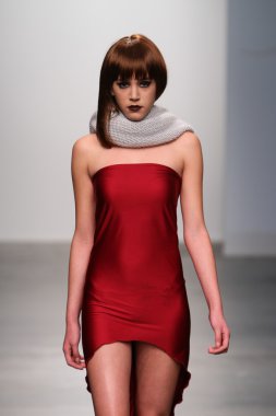 New york - 13 Şubat: model tess için pist yürür 13 Şubat 2013 tarihinde nolcha moda haftasında johnson koleksiyonu new york City-pier 59 Studios