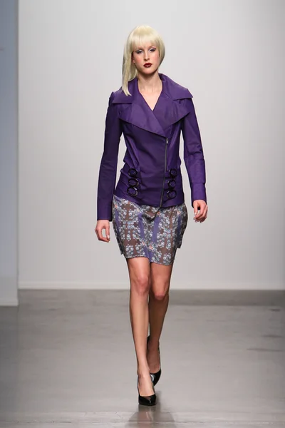 ニューヨーク - 2 月 13 日: モデルは、テスの滑走路を歩くジョンソン コレクション桟橋 59 スタジオ nolcha ファッションウィーク 2013 年 2 月 13 日にニューヨーク市で — ストック写真