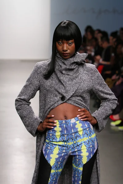 New york - 13 Şubat: model tess için pist yürür 13 Şubat 2013 tarihinde nolcha moda haftasında johnson koleksiyonu new york City-pier 59 Studios