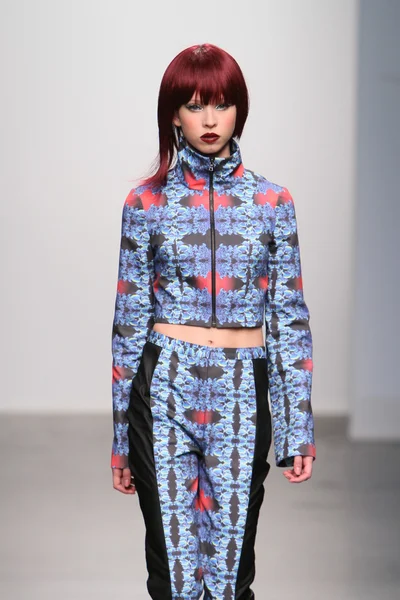 New york - 13 Şubat: model tess için pist yürür 13 Şubat 2013 tarihinde nolcha moda haftasında johnson koleksiyonu new york City-pier 59 Studios