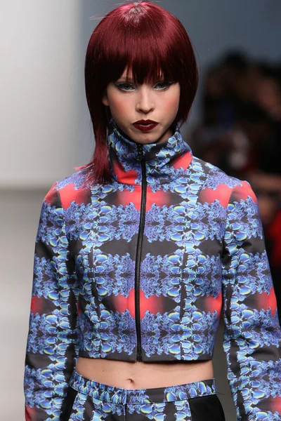 New york - 13 Şubat: model tess için pist yürür 13 Şubat 2013 tarihinde nolcha moda haftasında johnson koleksiyonu new york City-pier 59 Studios