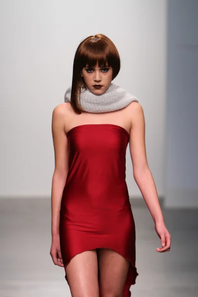 뉴욕-2 월 13 일: 모델 테 스에 대 한 활주로 걸어 뉴욕시에서 nolcha 패션 위 크에서 2013 년 2 월 13 일 동안 교각 59에 존슨 컬렉션 — 스톡 사진