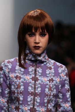 New york - 13 Şubat: model tess için pist yürür 13 Şubat 2013 tarihinde nolcha moda haftasında johnson koleksiyonu new york City-pier 59 Studios