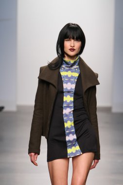 New york - 13 Şubat: model tess için pist yürür 13 Şubat 2013 tarihinde nolcha moda haftasında johnson koleksiyonu new york City-pier 59 Studios